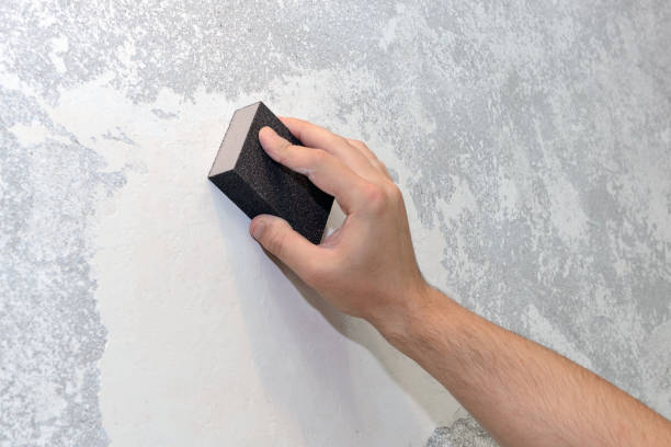  Lovelock, NV Mold Removal Pros