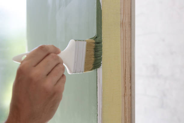 Best Biohazard Mold Removal  in Lovelock, NV