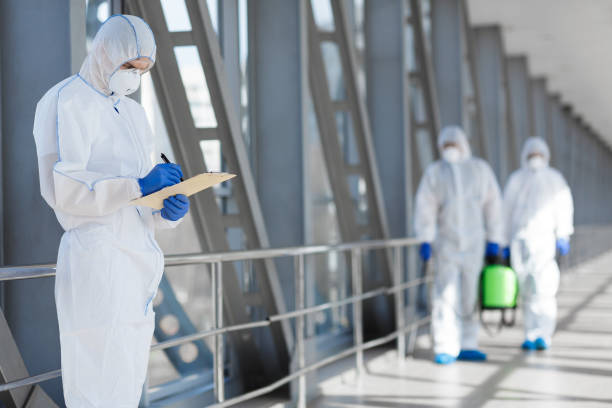 Best Emergency Mold Remediation  in Lovelock, NV
