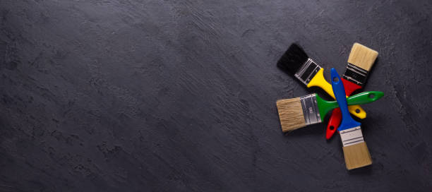 Mold Odor Removal Services in Lovelock, NV