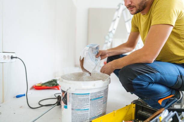 Best Crawl Space Mold Remediation  in Lovelock, NV