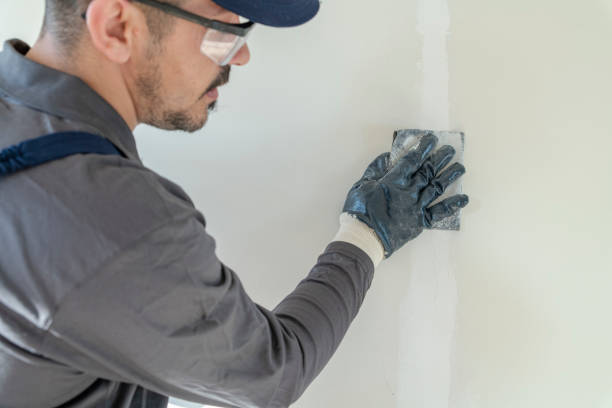Best Environmental Consulting for Mold Prevention  in Lovelock, NV