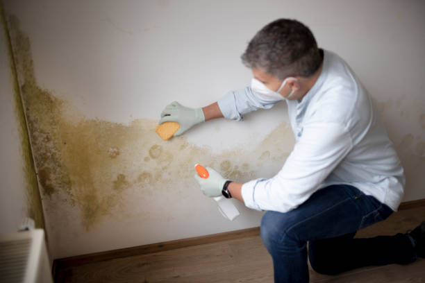 Best Indoor Air Quality Assessment  in Lovelock, NV