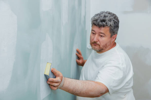 Mold Remediation for Vacation Homes in Lovelock, NV
