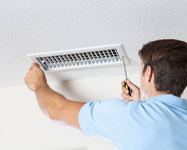 Best Industrial Mold Remediation  in Lovelock, NV
