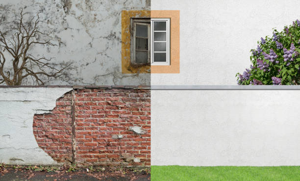Best Mold Prevention Services  in Lovelock, NV