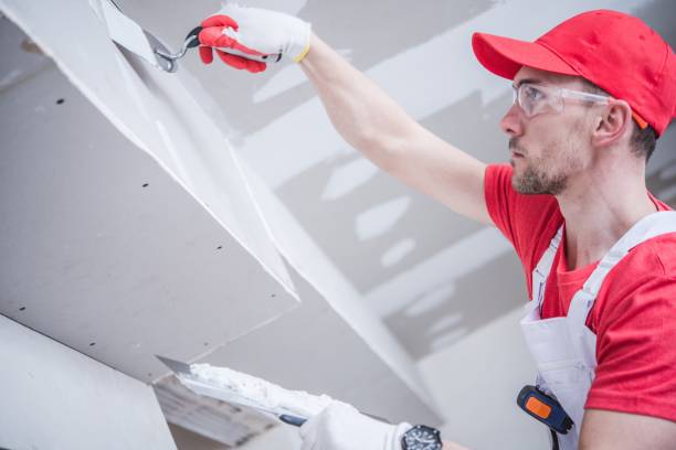 Best Real Estate Mold Inspection  in Lovelock, NV