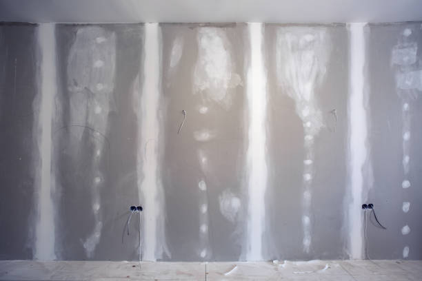 Reliable Lovelock, NV Mold Removal Solutions